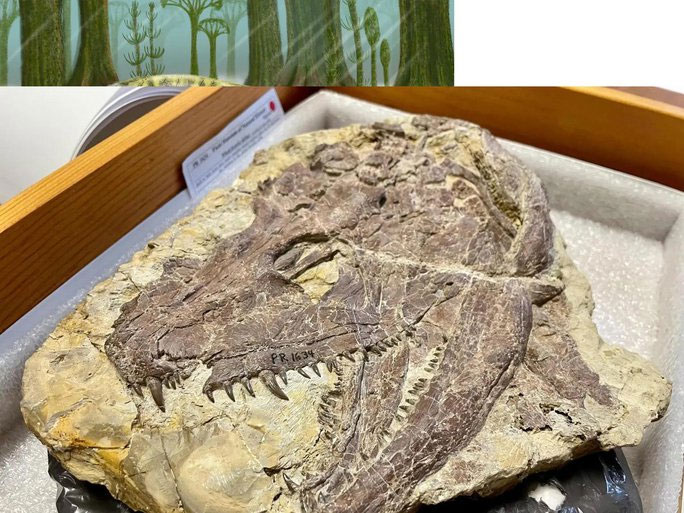 Picture 1 of Shocking Fact: Our Beastly Ancestors Were Scarier Than Tyrannosaurus Rex