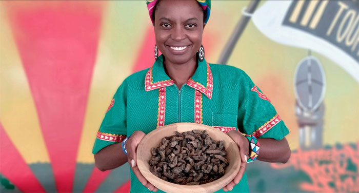 South African chemical engineer turns insects into junk food Picture 1