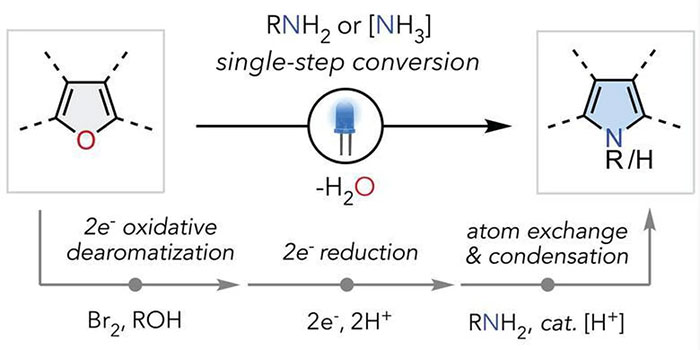 Picture 7 of South Korea successfully researches the world's first 'single atom editing' technique