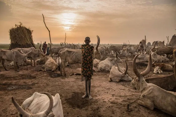South Sudan's Dinka Tribe: The Tallest People in Africa Picture 4