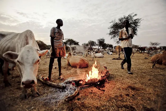 South Sudan's Dinka Tribe: The Tallest People in Africa Picture 7