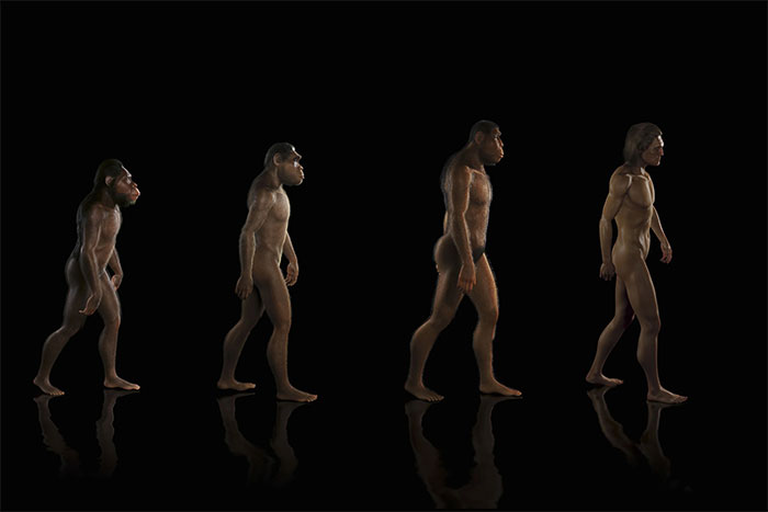 Picture 1 of Special mechanisms in human evolution suggest the intervention of external intelligence!