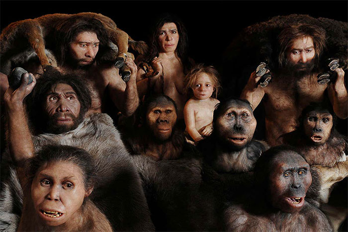 Picture 5 of Special mechanisms in human evolution suggest the intervention of external intelligence!