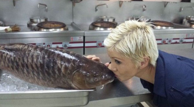 Specialty fish 'vong bat lieu ngu' is more expensive than gold but still sought after Picture 2