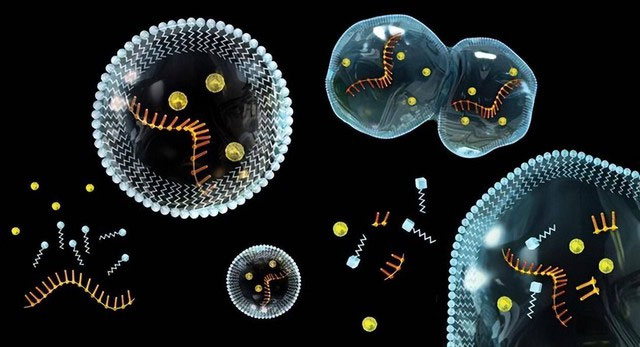 Picture 2 of Specimen 340 million km from Earth reveals mysteries about the origin of life
