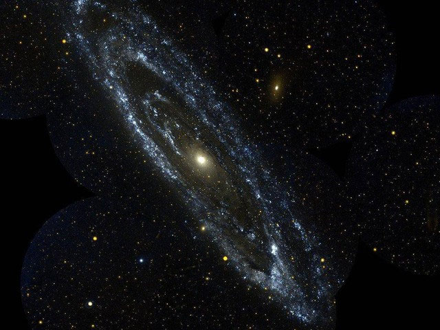 Picture 3 of Specimen 340 million km from Earth reveals mysteries about the origin of life
