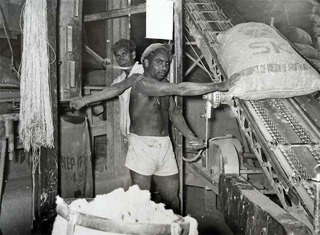 Stone woven into cloth: From mummy's shroud to powerful weapons Picture 3