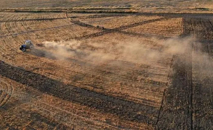 Strange disease broke out in the western United States when the weather was hot and dry Picture 4