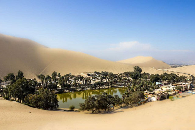 Picture 10 of Strange oasis in the heart of the desert: It doesn't rain all year round, but the temperature is only 25-30 degrees Celsius, there is a 'panacea' lake