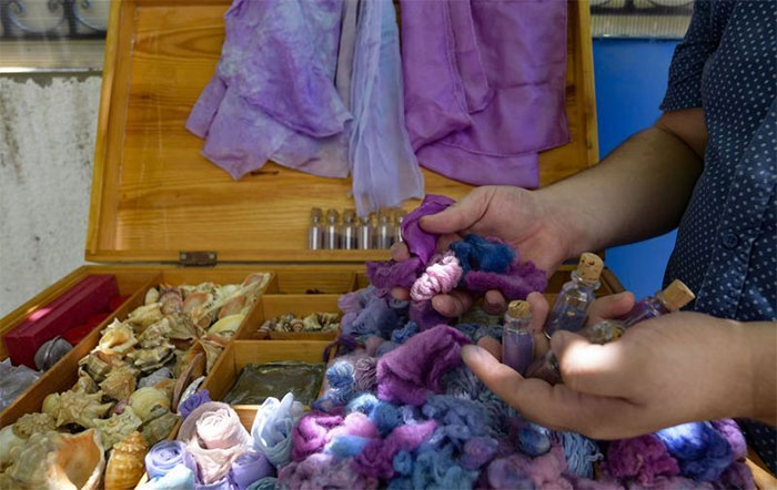 Strange purple dye 'more expensive than gold' from sea snails Picture 4