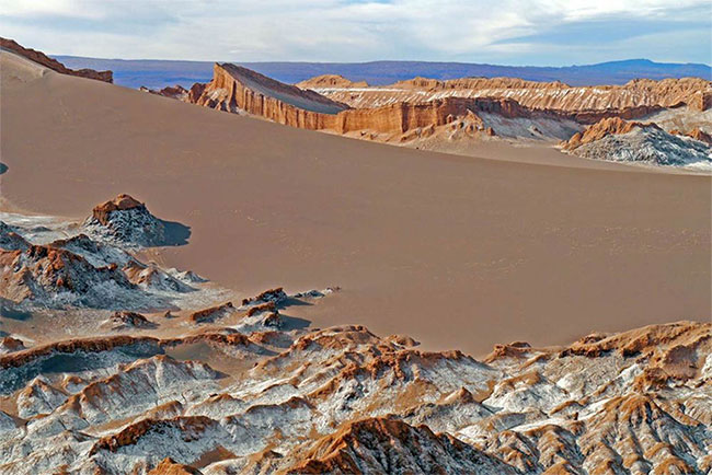 Strangely, The Driest Desert In The World, Cacti Can't Live: Home To 