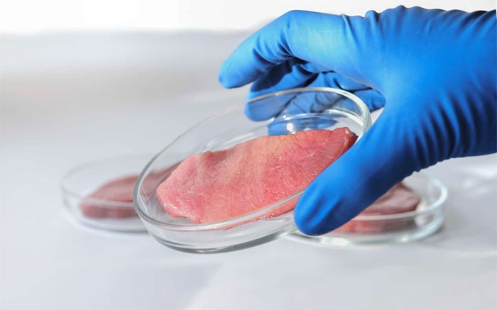 Picture 1 of Strangely, tobacco makes it less expensive to produce artificial meat
