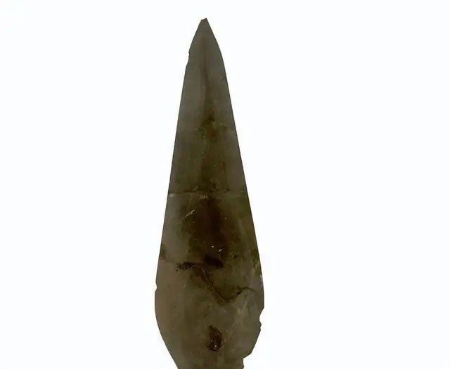 Picture 2 of Student picks up leaf, archaeologist declares 'this is a priceless treasure'
