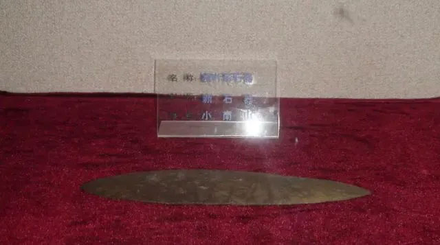 Picture 3 of Student picks up leaf, archaeologist declares 'this is a priceless treasure'