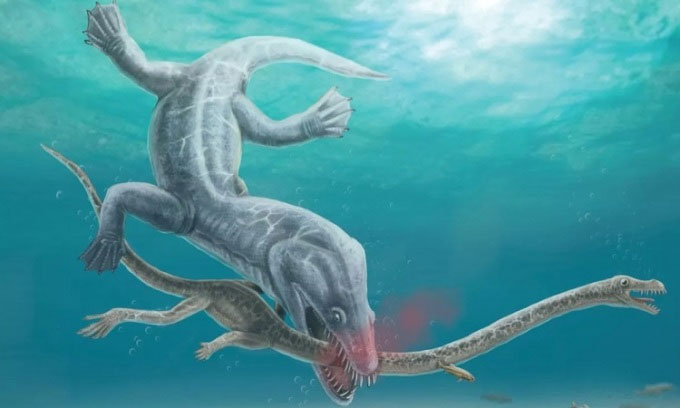 Picture 2 of Stunned by the discovery of a sea monster fossil with a neck up to 3 meters long.