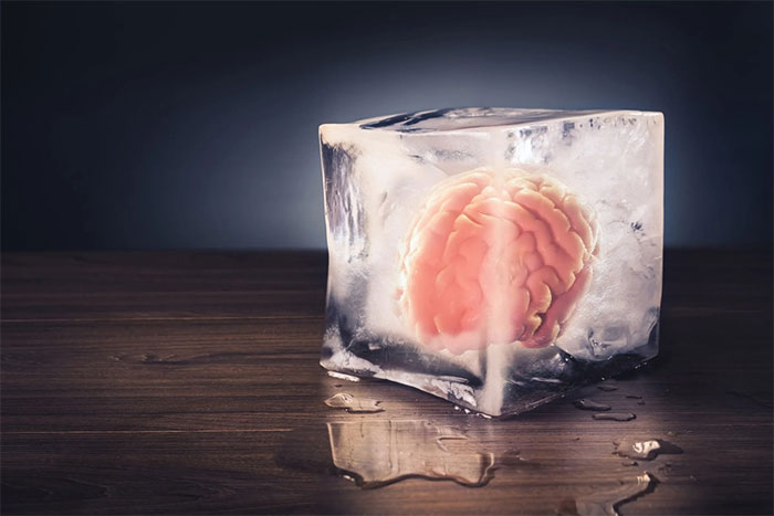 Successfully 'thawing' a frozen human brain for the first time Picture 1