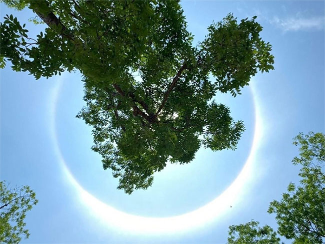 Picture 1 of Sun halos appearing in some provinces: Can signal prolonged heat