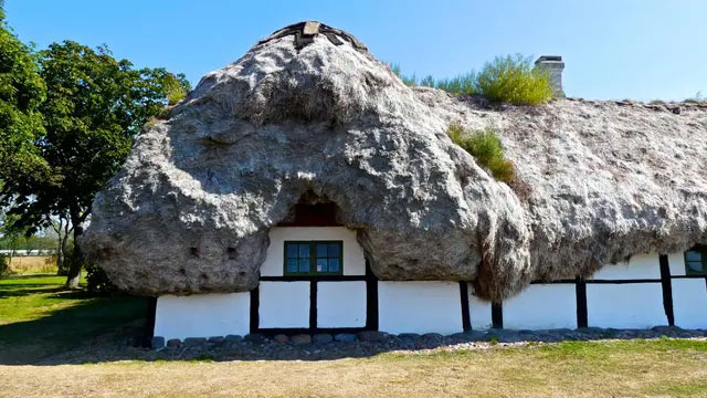 Super durable natural material, if spread on the roof, it won't rot for 300 years Picture 4