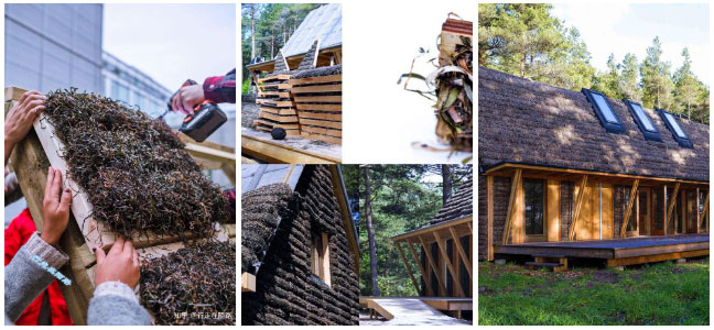 Super durable natural material, if spread on the roof, it won't rot for 300 years Picture 7