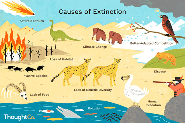 Supercomputer predicts mass extinction in 2100 Picture 3