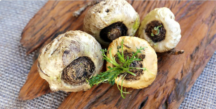 Superfood likened to ginseng, little known but extremely good for sex Picture 2