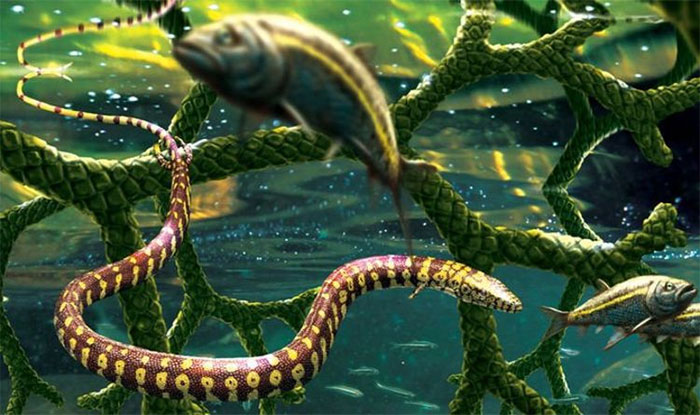 Picture 2 of Surprise with the 'four-legged snake' that appeared 110 million years ago