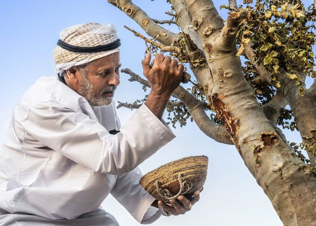 Surprising facts about the beautiful kingdom of Oman Picture 4