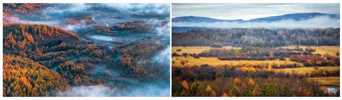 Surreal Autumn Beauty on the Great Xing'an Mountains Picture 1
