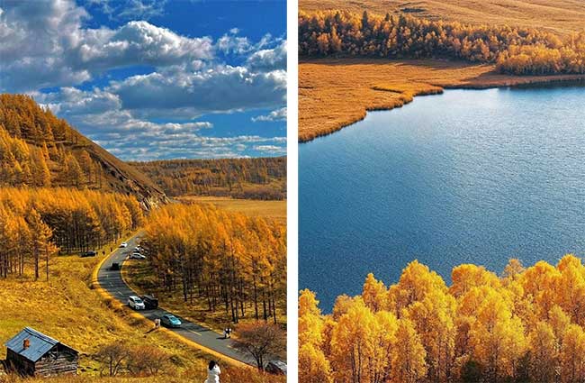 Surreal Autumn Beauty on the Great Xing'an Mountains Picture 4