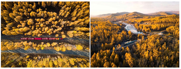 Surreal Autumn Beauty on the Great Xing'an Mountains Picture 7