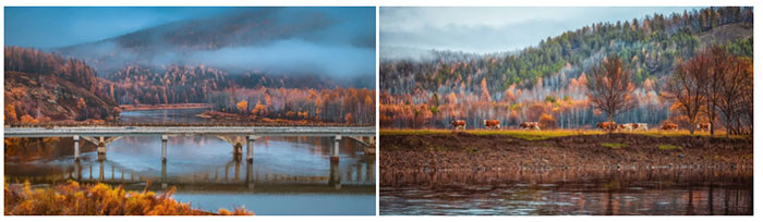 Surreal Autumn Beauty on the Great Xing'an Mountains Picture 9
