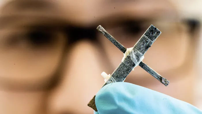 Picture 1 of Sweden successfully developed the world's first wooden transistor