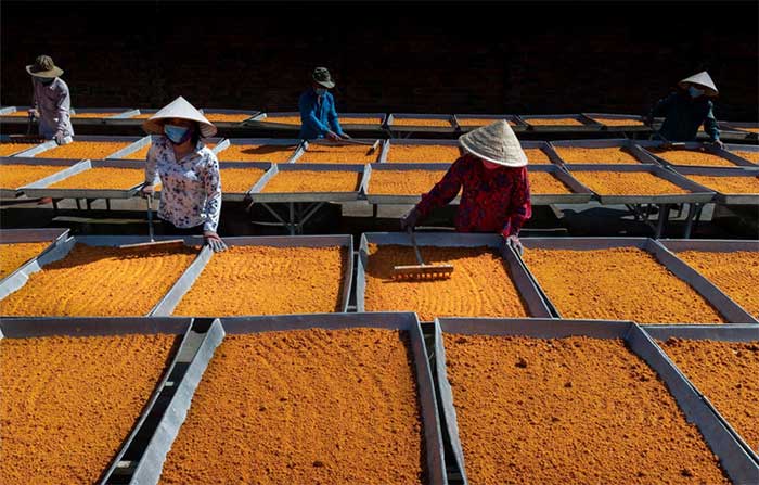 Picture 1 of Tay Ninh salt and chili making profession becomes 'national intangible cultural heritage'