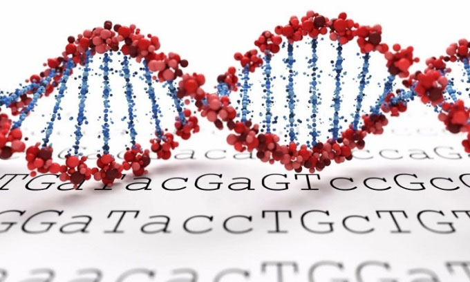 Picture 1 of Technology helps diagnose genetic diseases in hours