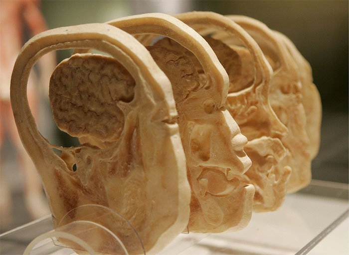 The AI ​​system suspects that it is being 'trapped' by researchers: Is Anthropic's AI Claude conscious? Picture 4