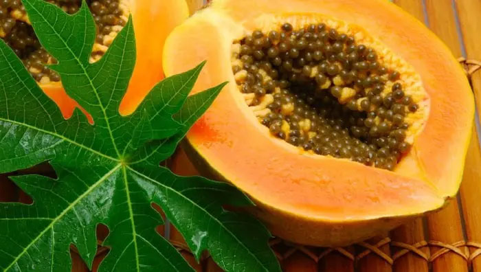 Picture 1 of The amazing benefits of papaya leaves that few people know about