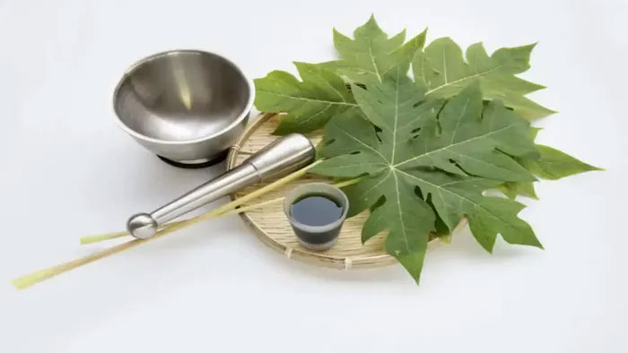 Picture 3 of The amazing benefits of papaya leaves that few people know about