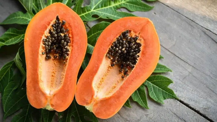 Picture 4 of The amazing benefits of papaya leaves that few people know about
