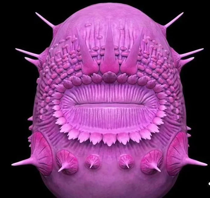 The angry Minion-like anusless creature is not the earliest ancestor of mankind Picture 1