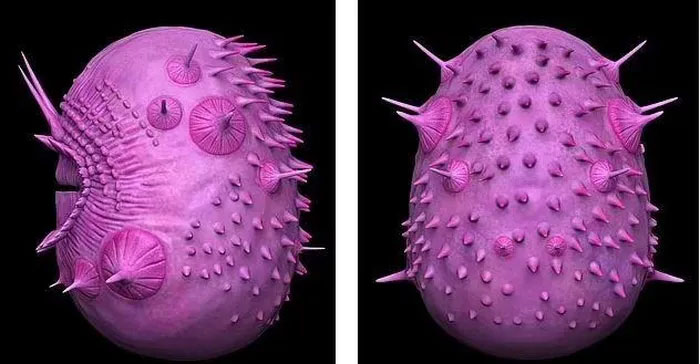 The angry Minion-like anusless creature is not the earliest ancestor of mankind Picture 2