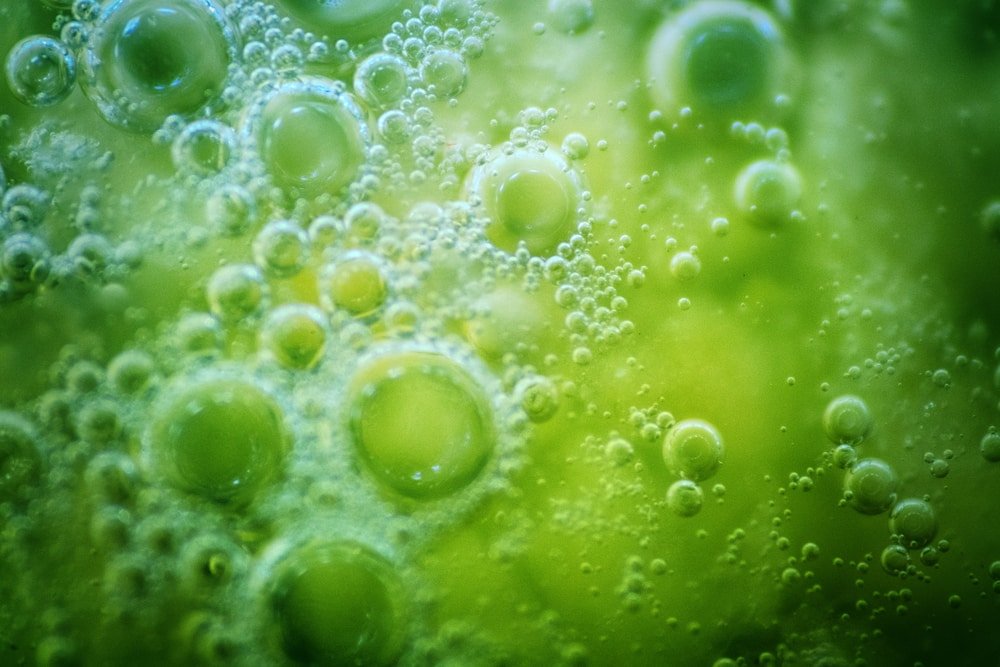The Big Bang of Life - the bold theory of life on Earth? Picture 1