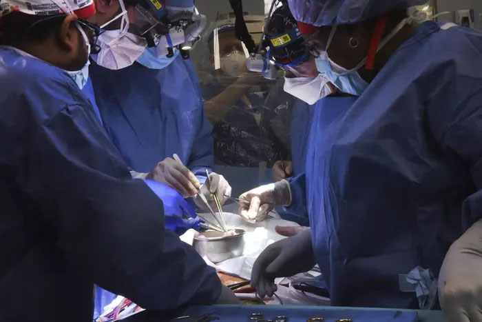 The big question after the first pig heart transplant for humans Picture 3