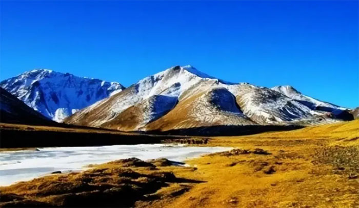 The city of a thousand years can't plant a tree: Reward 1 billion for successful 'rescue' Picture 1