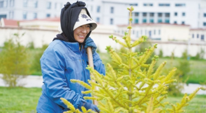 The city of a thousand years can't plant a tree: Reward 1 billion for successful 'rescue' Picture 6