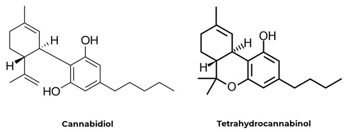 Picture 6 of The Difference Between Hemp and Marijuana