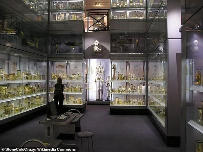 Picture 5 of The doctor who created the 'industry' of grave theft in the UK