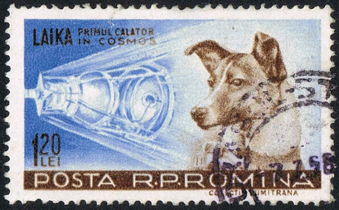 Picture 3 of The dog astronaut Laika and the one-way flight of no return'