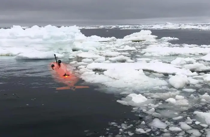 Picture 3 of The 'doomsday' glacier melts faster than ever