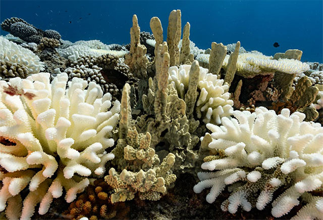 Picture 2 of The dreamlike natural wonders of the world have disappeared forever in just the past 10 years