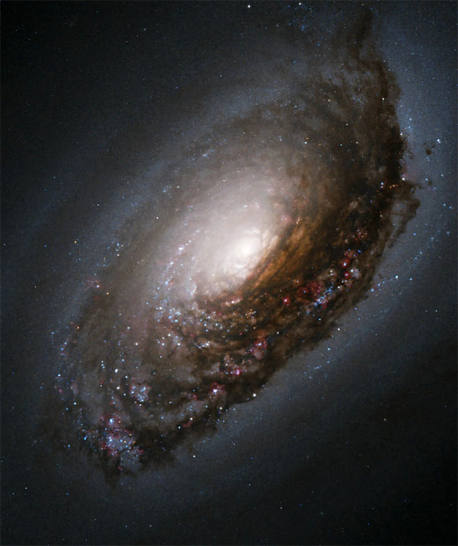 Picture 7 of The enchanting beauty of galaxies in the vast universe